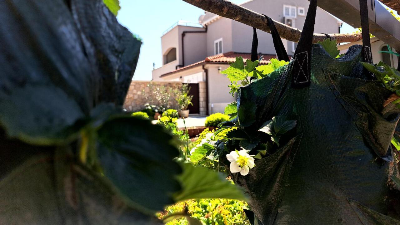 Dubrovnik Airport Apartment Tea Durovici Exteriér fotografie